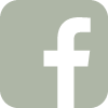 icon fb